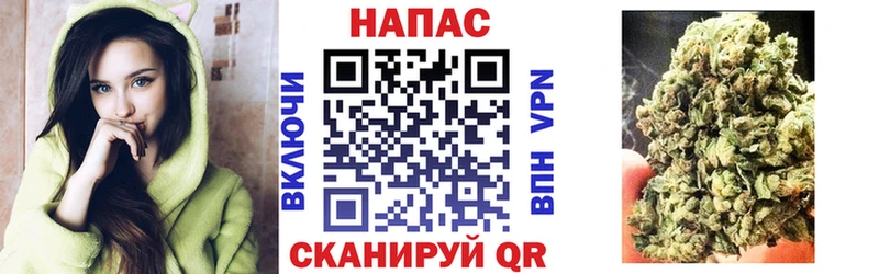дарнет шоп  сайты даркнета состав  Шишки марихуана сатива  Дальнегорск 